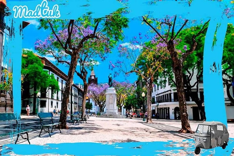 Madeira: Botanical Gardens + Old Town Tuk-Tuk Tour by MadTuk - Is $44 a fair price?