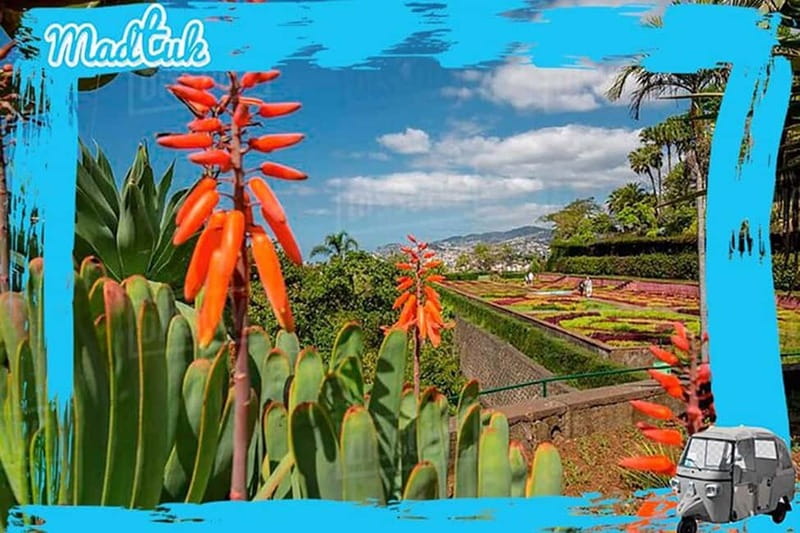 Madeira: Botanical Gardens + Old Town Tuk-Tuk Tour by MadTuk - Booking details that matter