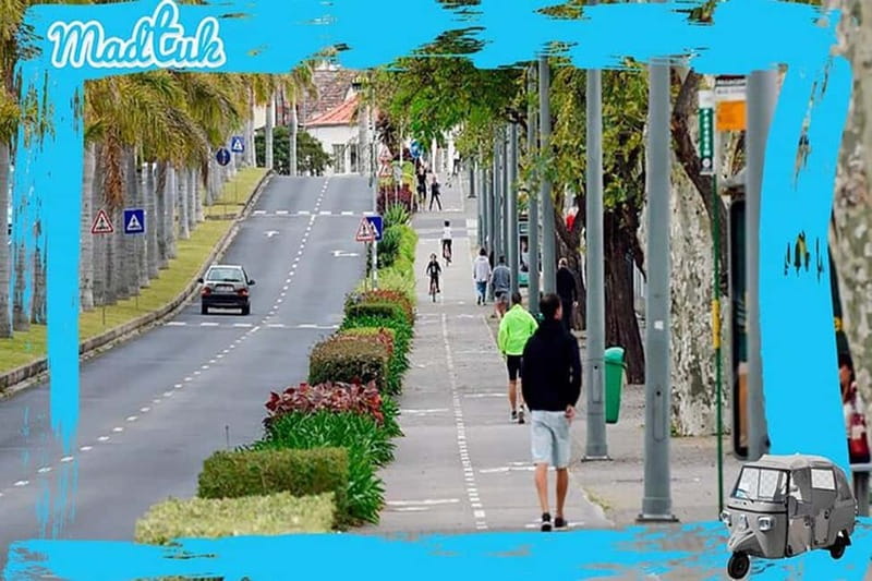 Madeira: Cabo-Girão Skywalk + Câmara de Lobos Tuk-Tuk Tour - Who will enjoy this tuk-tuk outing most