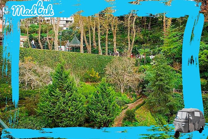Madeira Monte Tobbogans and Old Town Tuk Tuk Tour by MadTuk - What the guides add to the ride
