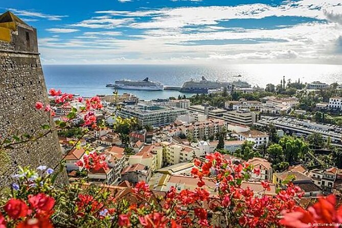 Madeira Special City Tuk Tuk Tour and Viewpoints by MadTuk - Mercado dos Lavradores brings the city down to street level
