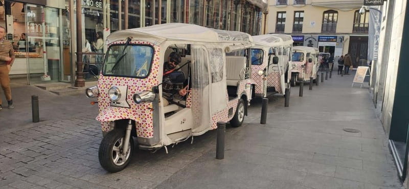 Madrid: City Tours - 6 seats private ecological tuk tuk - San Miguel, La Latina, and Madrid’s older neighborhoods