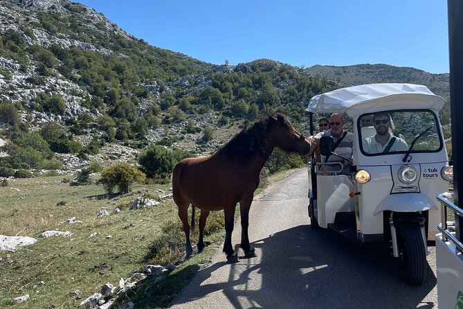 Makarska: Skywalk Tour with a Tuk Tuk - Skip the line ticket - Skip-the-line access and group comfort
