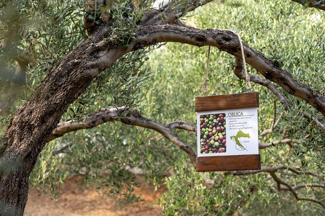 Makarska Tuk Tuk Tour Olive Grove, Scenic Views and Tastings - St. Peter, local history, and cherry liqueur
