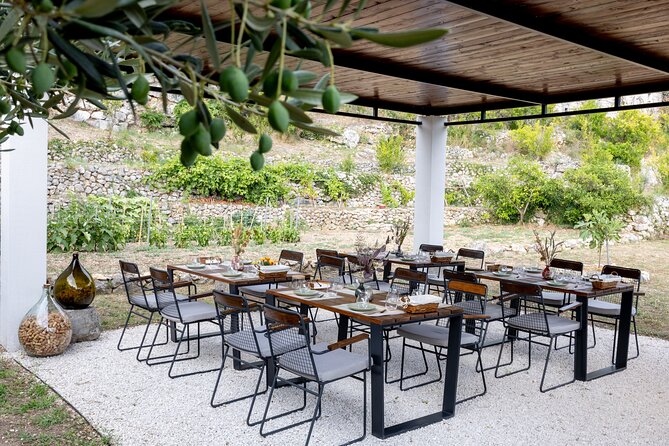 Makarska Tuk Tuk Tour Olive Grove, Scenic Views and Tastings - What the $58.47 price includes