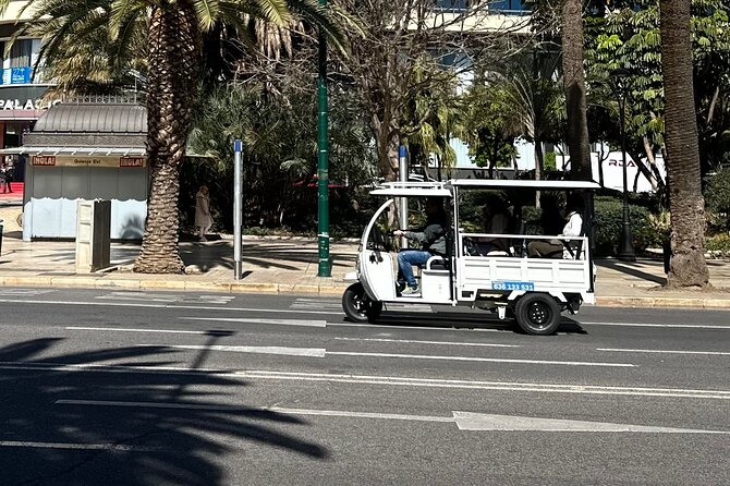 Malaga by Tuk Tuk i : 1 or 2 hours Private city tour - Malagueta Beach and the open coast