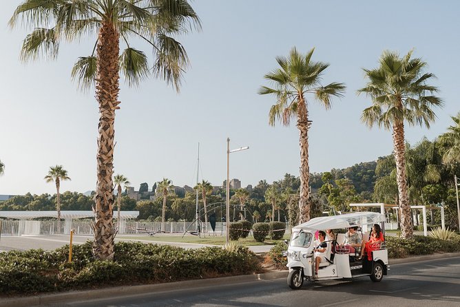 Malaga Expert Tour with Local Guide in Eco Tuk Tuk Private - Why a tuk-tuk works well in Malaga