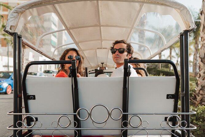 Malaga Expert Tour with Local Guide in Eco Tuk Tuk Private - Port, Pompidou, and La Farola by the water