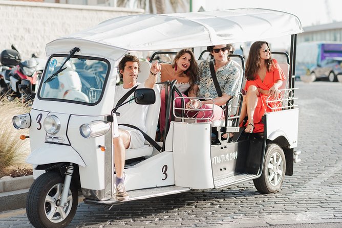 Malaga Expert Tour with Local Guide in Eco Tuk Tuk Private - The 60-minute tour: quick orientation with Gibralfaro