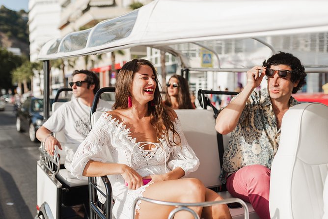 Malaga Express Tour with Local Guide in Eco Tuk Tuk Private - Gibralfaro viewpoint and the five-minute castle stop