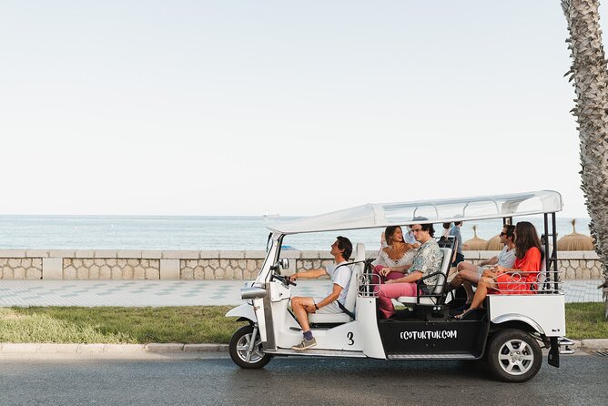 Malaga Express Tour with Local Guide in Eco Tuk Tuk Private - One hour or two hours?