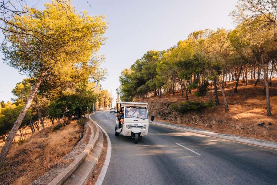 Málaga: Tuktuk Tour with Views and Espeto de Sardinas - Starting at La Malagueta Beach and moving through Limonar