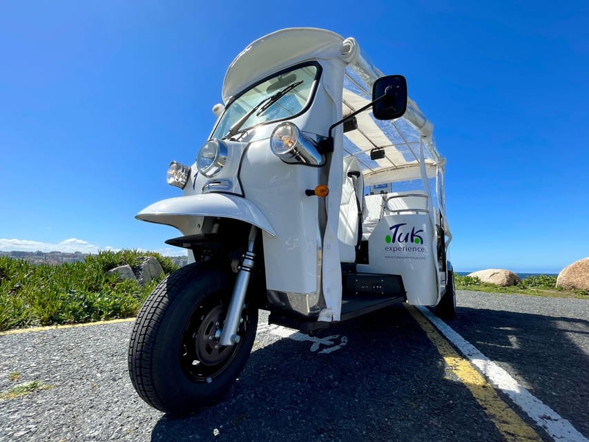 Malaga: VIP private Tuk Tuk tour - Cathedral, University, and the civic center
