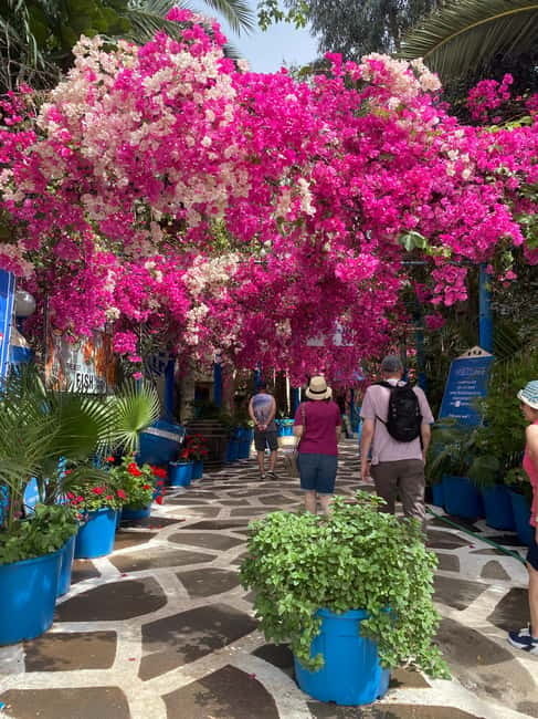 Malia: Sissi and Beyond Tuk Tuk Tour with Raki and Honey - Who will enjoy this tuk tuk tour most