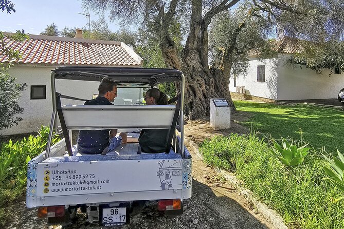 Meet Santa Luzia / Capital do Polvo / Salinas in a 100% electric Tuk Tuk - Seeing the salt flats near Atalaia