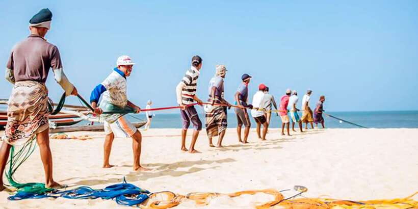 Negombo: Fishing Village Highlights Private Tour by Tuk Tuk - The fish market: Negombo at work