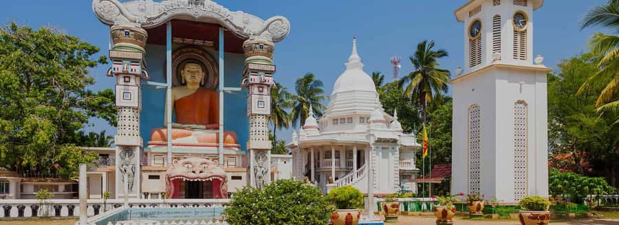 Negombo: Guided City Tour by Tuk Tuk with Hotel Pickup - Adding the one-hour Negombo Lagoon safari