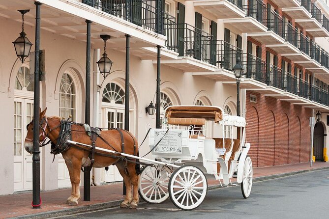 New Orleans Pedicab French Quarter Tour - Key points to know before booking