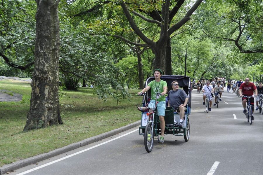 New York City: Central Park Private Pedicab Tour - Cherry Hill, Bow Bridge, and the Ramble