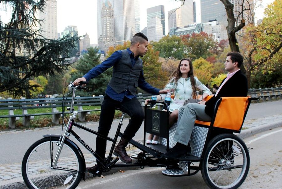 New York City: Central Park Tour by Pedicab - Strawberry Fields and the park’s cultural side