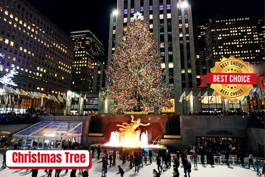 New York: Rockefeller Center Christmas Tree Pedicab Tour - Key points to know before booking