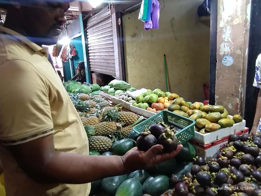 Nilaveli: Trinco City tour by Tuk Tuk - Feeding deer at the Trincomalee park