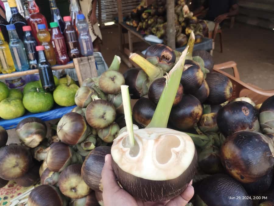 Nilaveli: Trinco City tour by Tuk Tuk - Coconut breaking at Thirukoneswaram Kovil