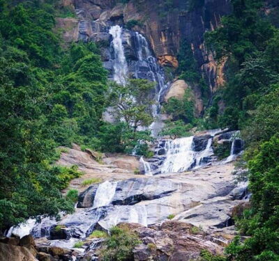 Tea Factory and Pickle Waterfalls Tuk Tuk Tour