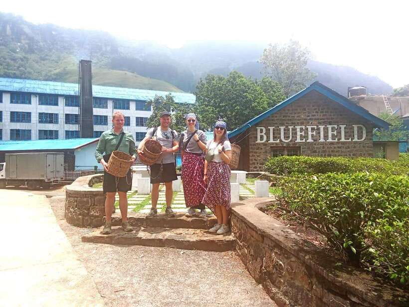 Nuwara Eliya: Tea Factory and Pickle Waterfalls Tuk Tuk Tour - What the $33 price really covers