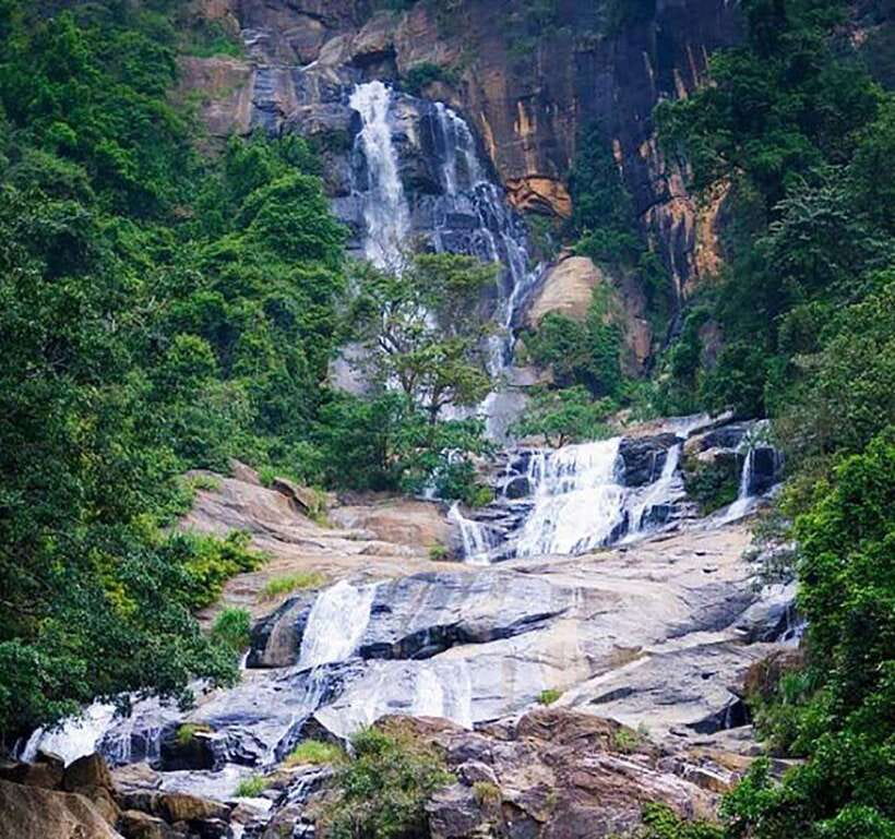 Nuwara Eliya: Tea Factory and Pickle Waterfalls Tuk Tuk Tour - Damro Labookellie, where tea begins with the leaf