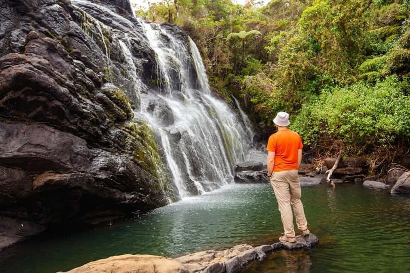Nuwara Eliya to Horton Plains, Strawberry& Ambewela Farm TUK - Why Horton Plains deserves the early alarm