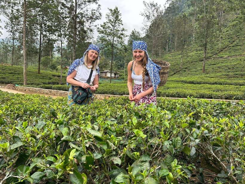 Nuwara Eliya Tuk-Tuk Tour Tea Picking,Tasting &Ramboda Falls - Why this tuk-tuk trip works so well in Nuwara Eliya