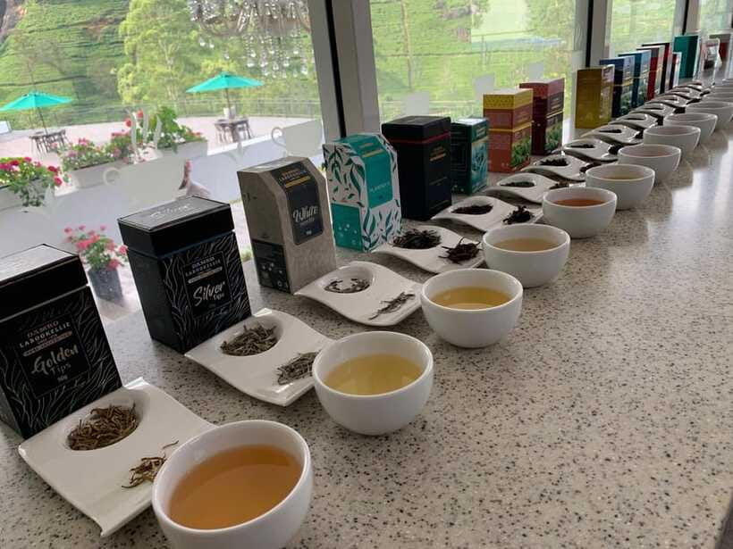 Nuwara Eliya Tuk-Tuk Tour Tea Picking,Tasting &Ramboda Falls - The value of a local driver and guide