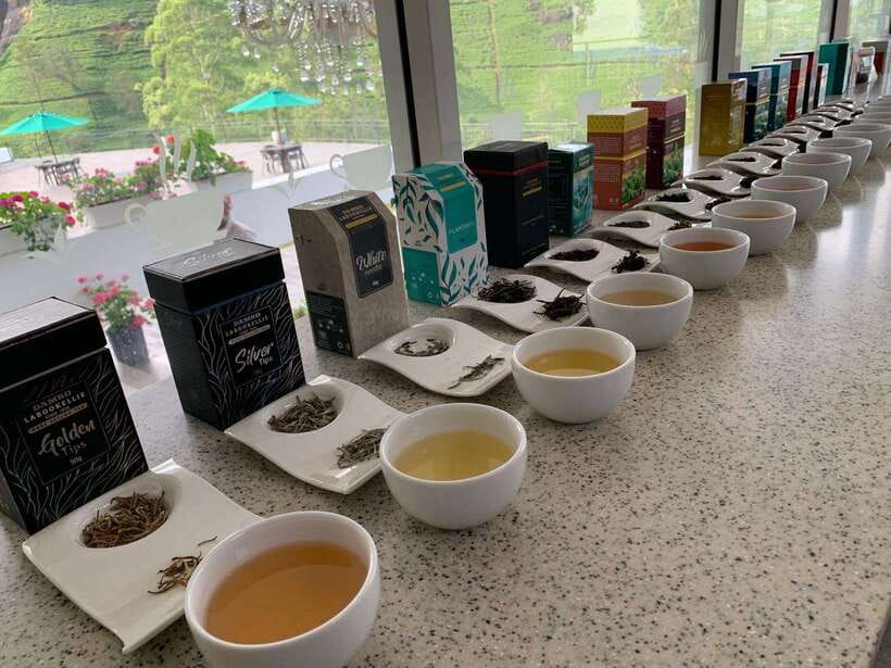 Nuwara Eliya Tuk-Tuk Tour Tea Picking,Tasting &Ramboda Falls - Timing, comfort, and the small-print costs