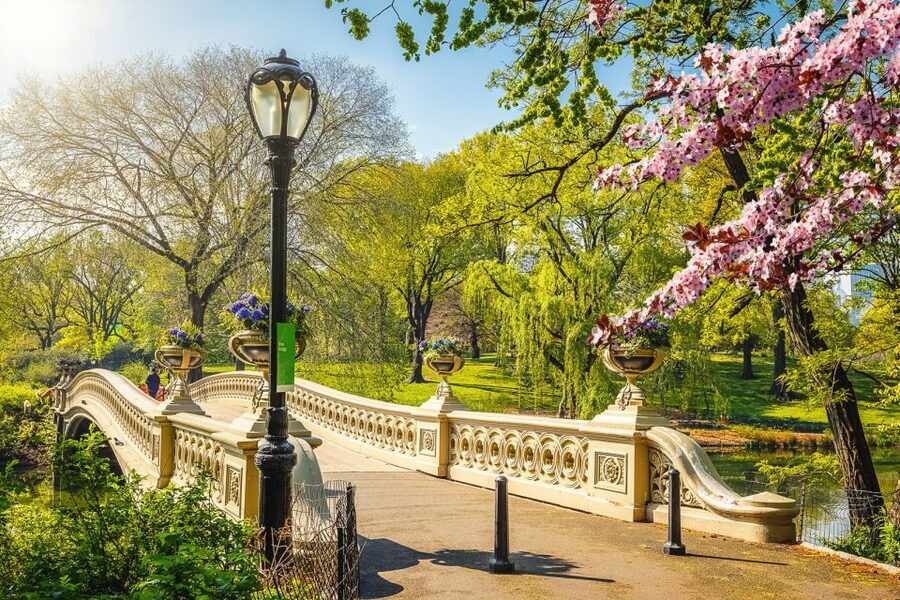 NYC: Central Park Pedicab Highlights Tour - Strawberry Fields and the Dakota