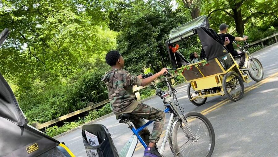 NYC: Central Park Pedicab Highlights Tour - Price, comfort, and weather