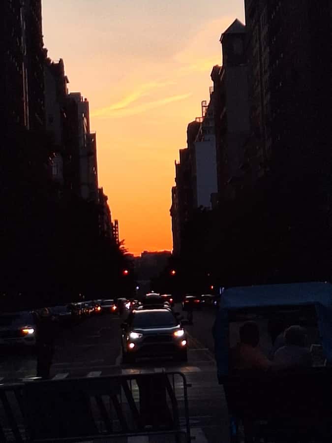 NYC: Central Park Pedicab Tour - Is $35 per person good value?
