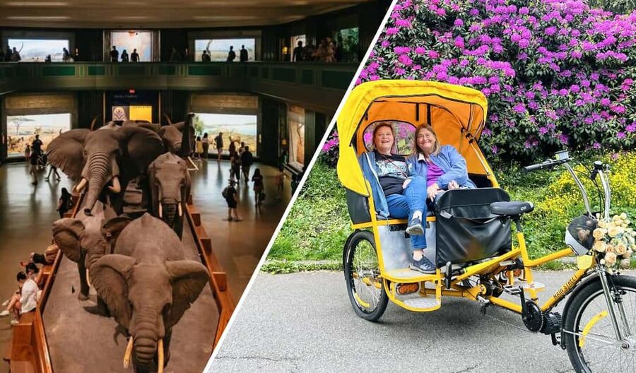 NYC: Central Park Pedicab Tour and Natural History Access - Why a Central Park pedicab makes sense