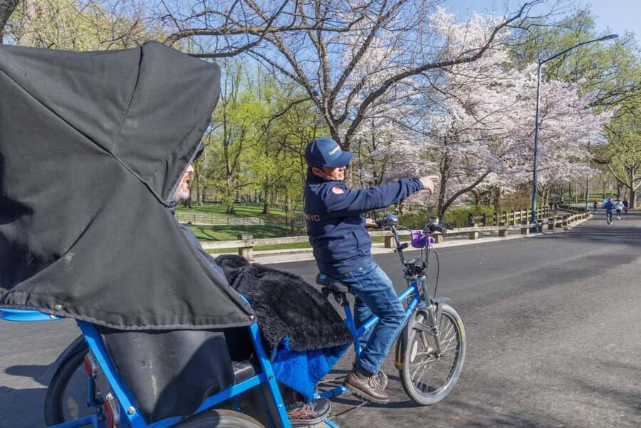 NYC: Central Park Pedicab Tour and Natural History Access - Bethesda Fountain and the park’s grand center