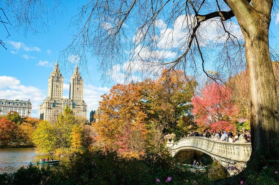 NYC: Central Park Pedicab Tour with Photo Stops - Which tour length should you choose?