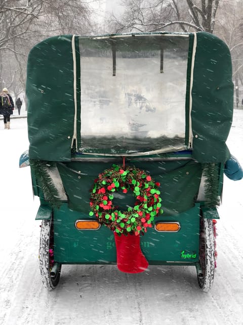 NYC: Elf & Home Alone 2 Locations Central Park Pedicab Tour - Carnegie Hall and the Pigeon Lady’s quieter scene