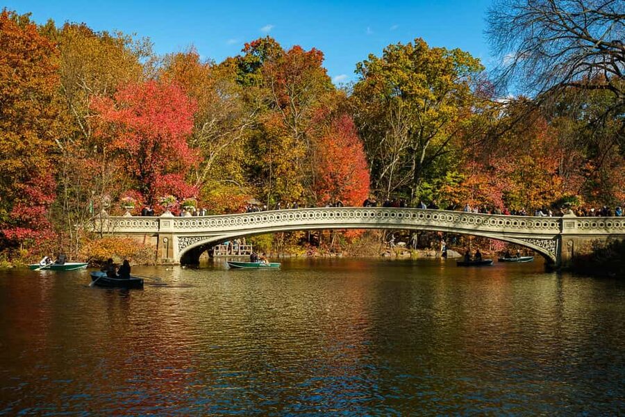 NYC: Guided Central Park Private Pedicab Tour - Why a Central Park Pedicab Makes Sense