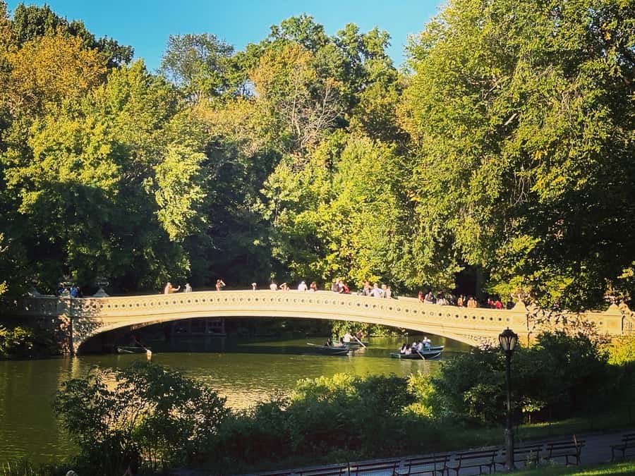 NYC: Guided Pedicab Tour of Central Park - Bethesda Terrace and Fountain are the tour’s central highlight
