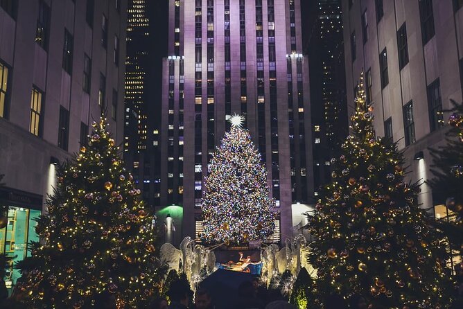 NYC Holiday Lights and Magic Pedicab Tour - Key points to know before booking