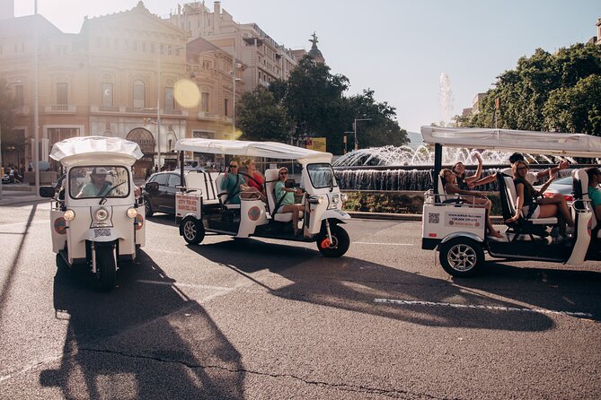 Official Tuk Tuk BCN l Barcelona 2 Hours City Tour - Montjuïc, Olympic Stadium, and MNAC