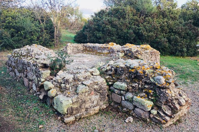 Olbia : Tuk-Tuk Tour – Ancient Treasures of Sardinia + pickup - Olbia’s city center and Fausto Noce Park