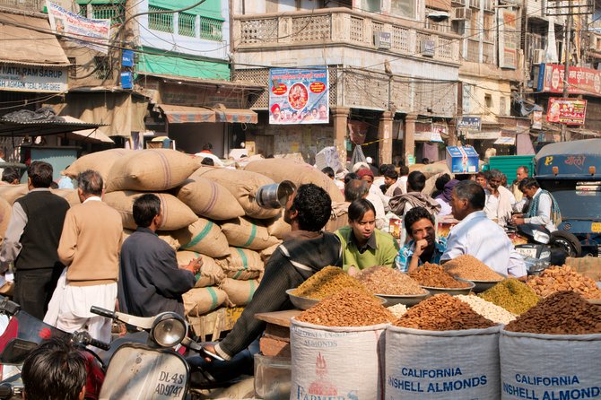 Old Delhi Street Food Tour with TUK-TUK Adventures - The guide and the private format
