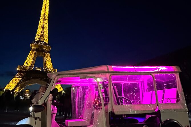 Original Paris E-TukTuk Tour - A Paris bridge and the view toward Notre-Dame