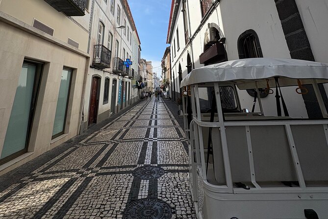 Ponta Delgada Private City Tuk Tuk Tour - Rosto do Cão and the south coast forts