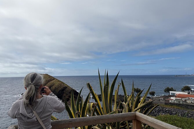 Ponta Delgada Private City Tuk Tuk Tour - The pineapple greenhouse stop